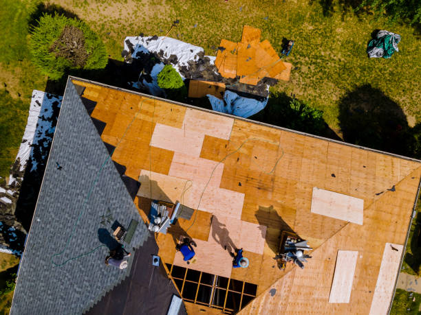 Best Roof Gutter Cleaning  in Posen, IL