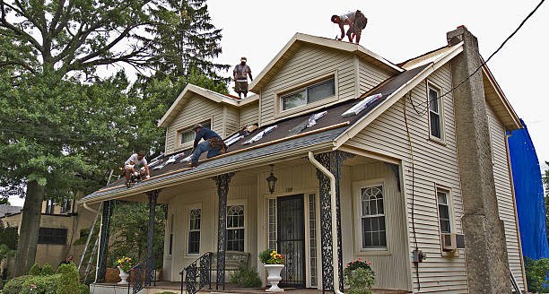 Best Flat Roof Repair Services  in Posen, IL